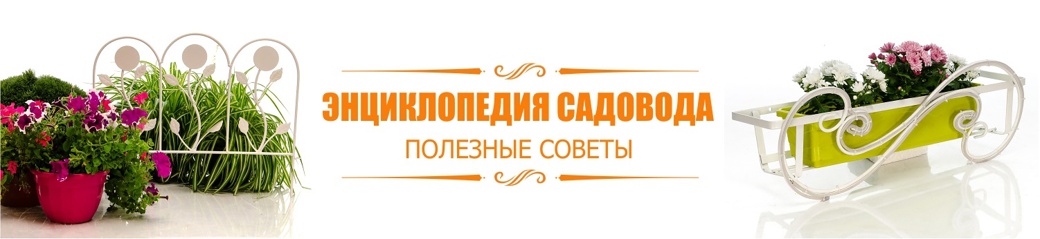 Энциклопедия садовода